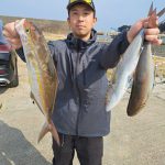 今日もシオから❗